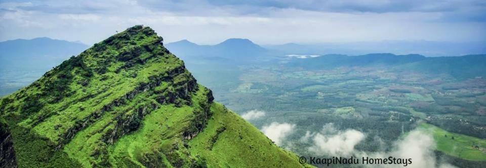 Butter Clouds Homestay Chikmagalur Exterior photo