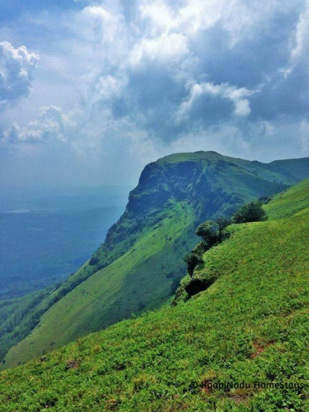 Butter Clouds Homestay Chikmagalur Exterior photo